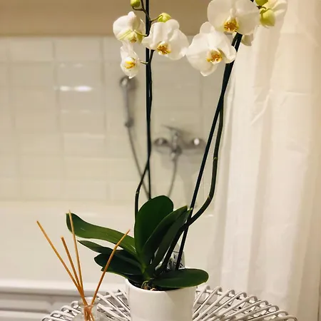 La Cappella Della Rotonda فيلة فيتشنزا