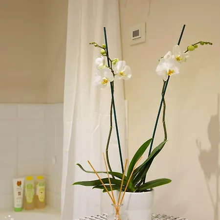 La Cappella Della Rotonda فيلة