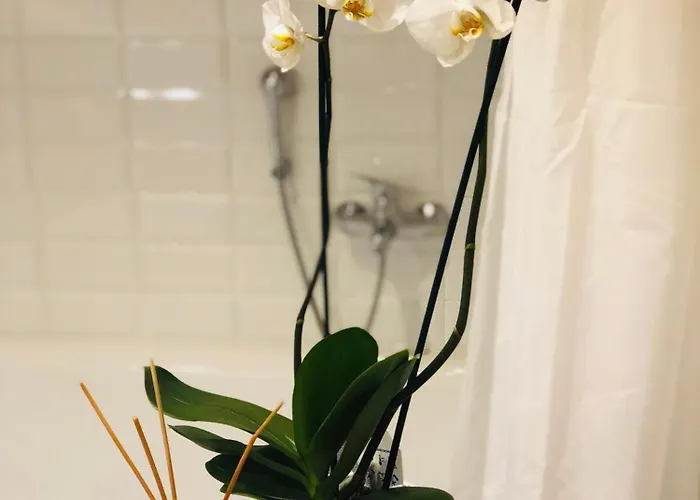 La Cappella Della Rotonda Villa Vicenza