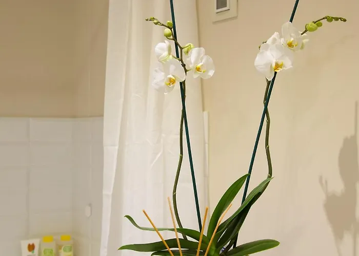 La Cappella Della Rotonda Villa